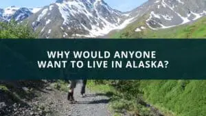 Why would anyone want to live in Alaska?