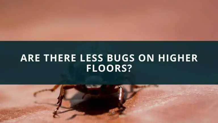 Are there less bugs on higher floors?