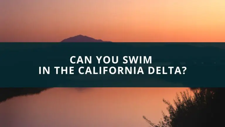 Can you swim in the California Delta?