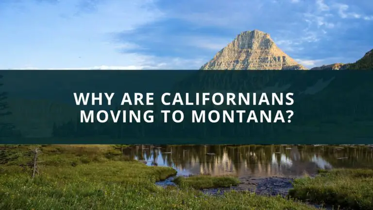 Why are Californias moving to Montana?